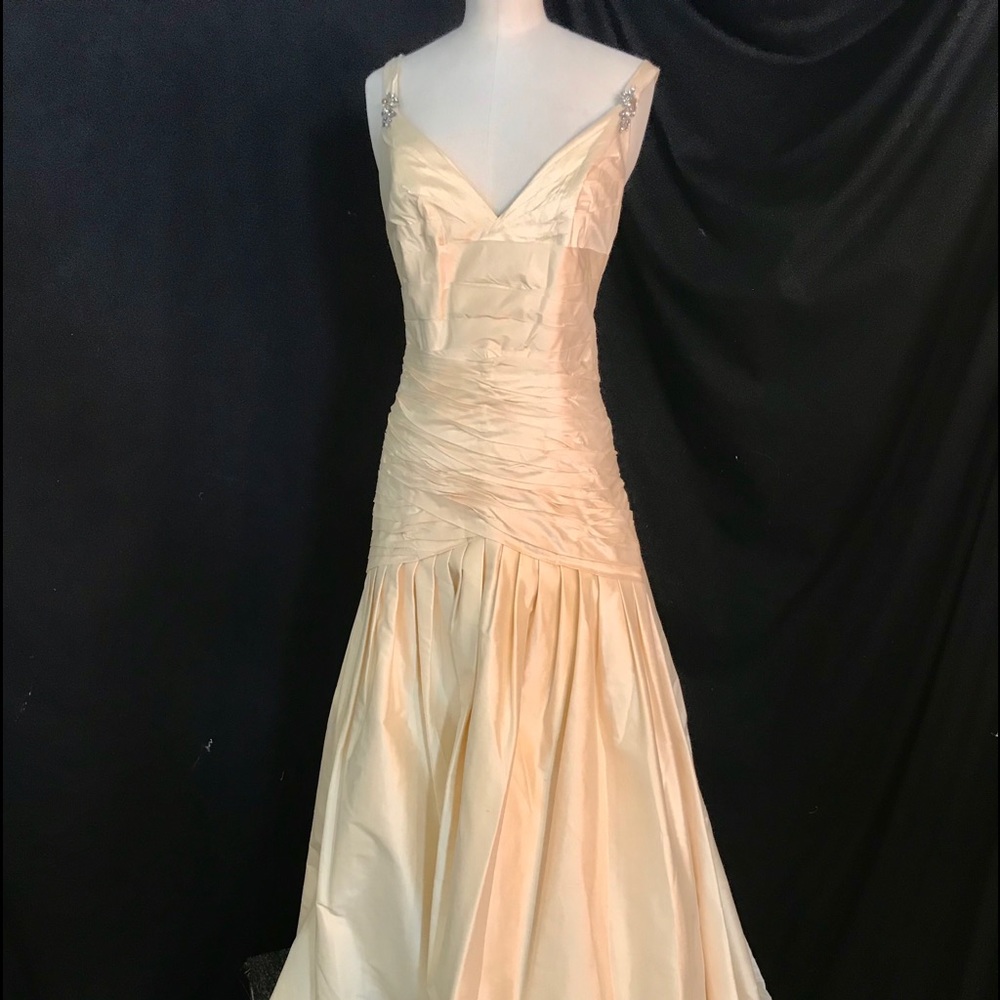 St Pucchi Style:  224 Wedding Gown Dark Ivory Silk Dress 4